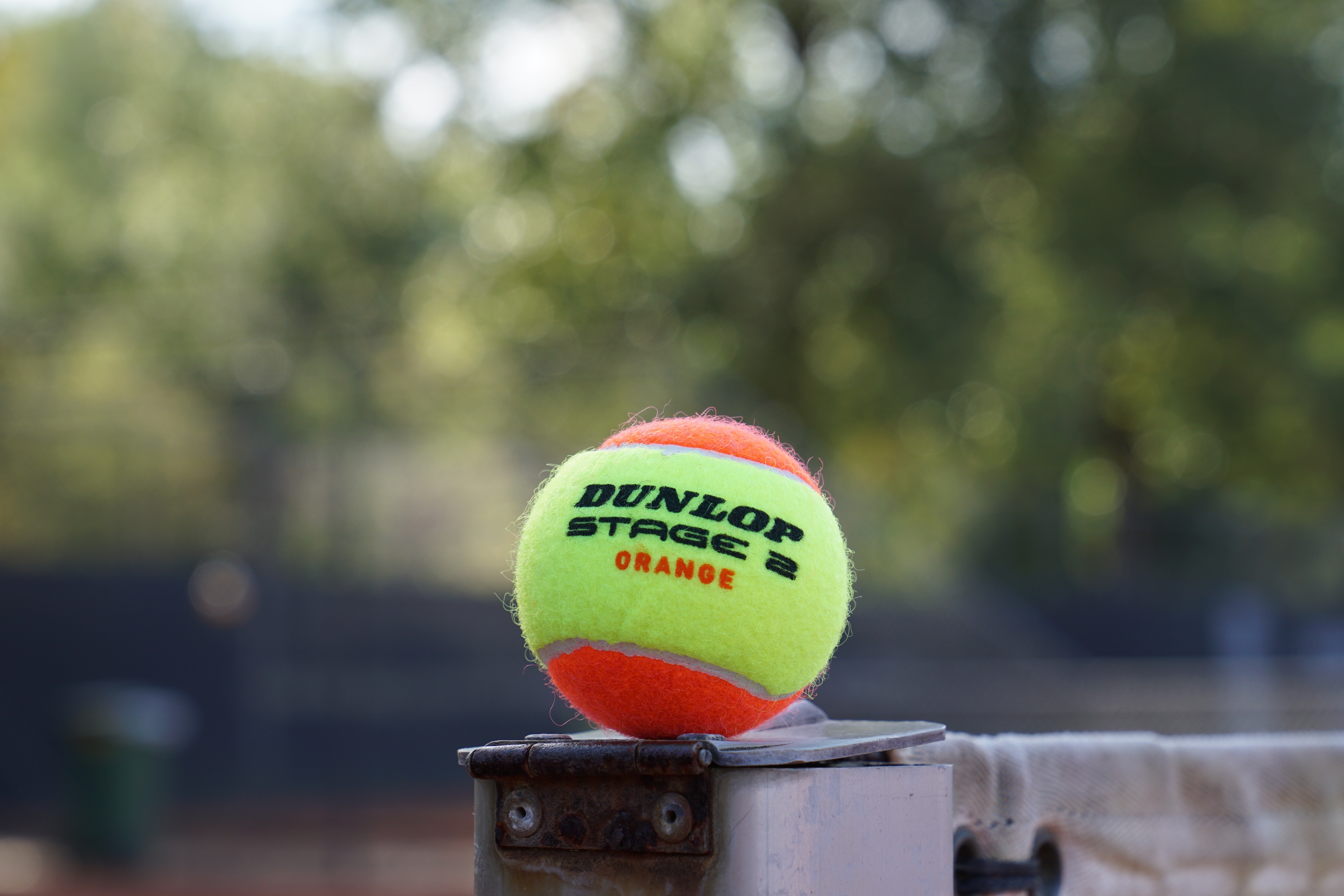 Oranje Dunlop tennisbal (2)