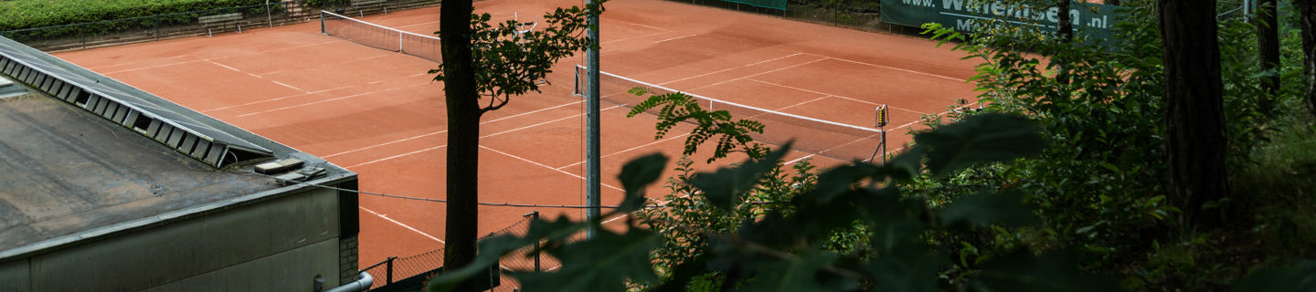 Tennisbaan groen bomen