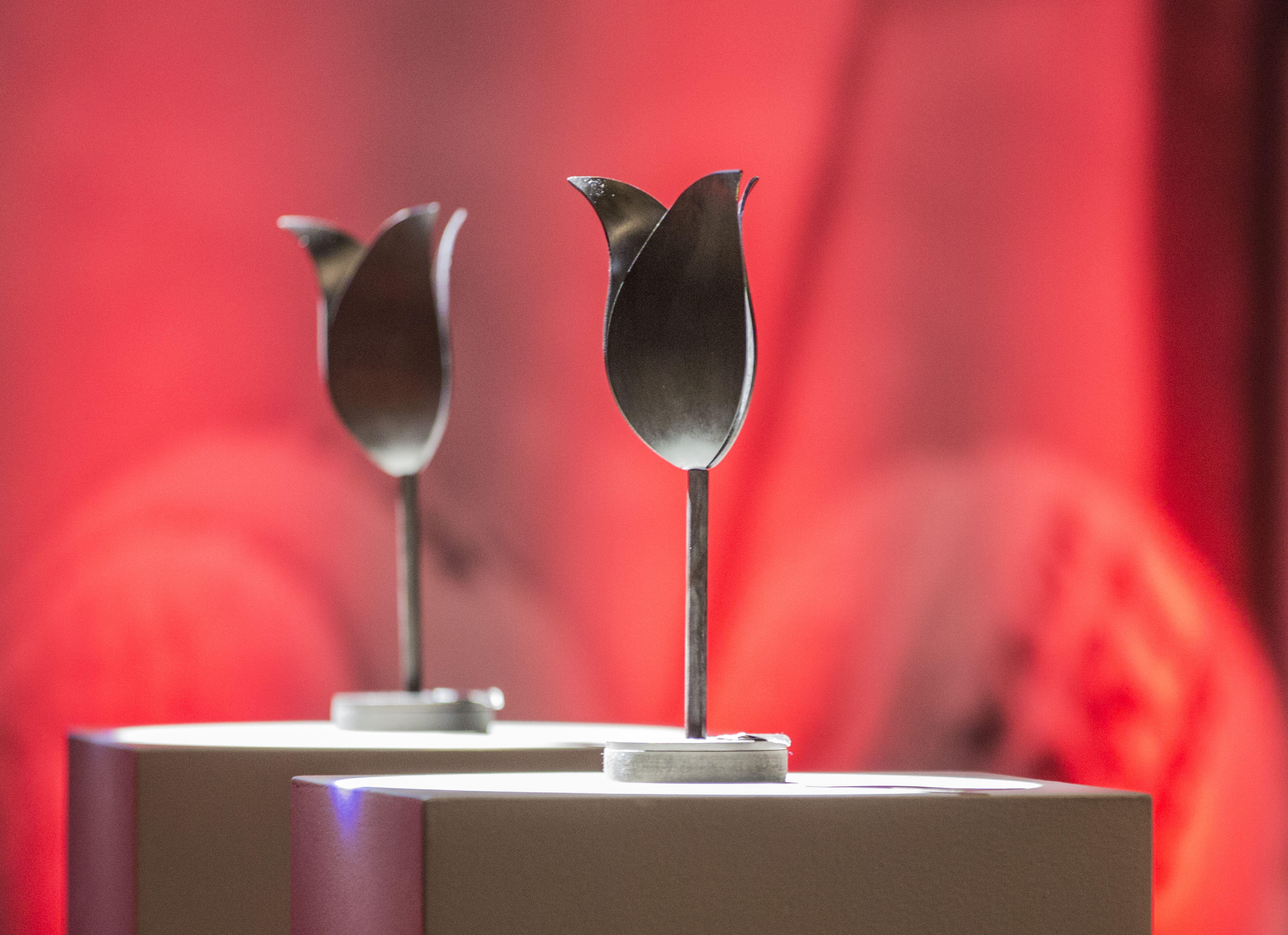 Zwarte tulpen troffee