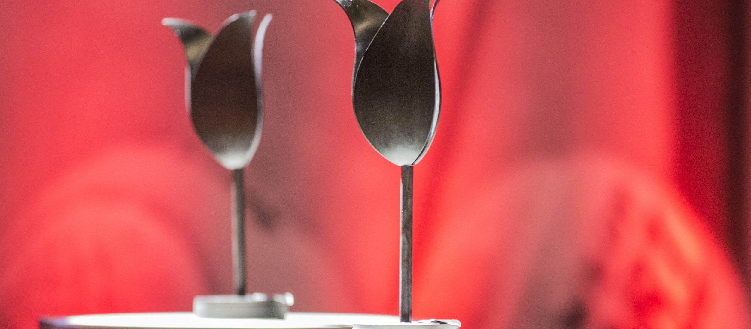 Zwarte tulpen troffee