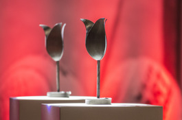 Zwarte tulpen troffee
