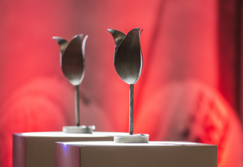 Zwarte tulpen troffeee