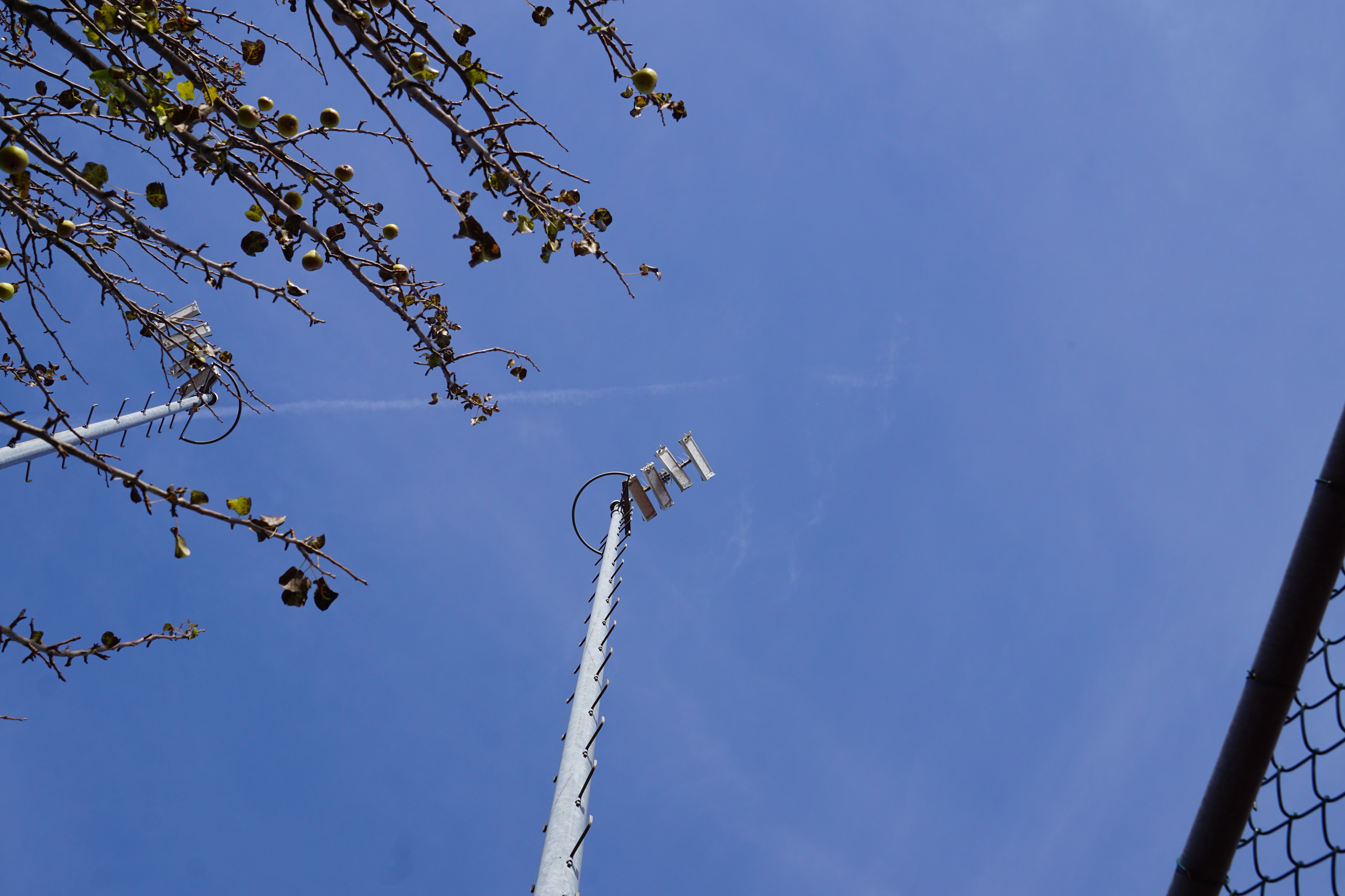 Verlichting Tennisbaan