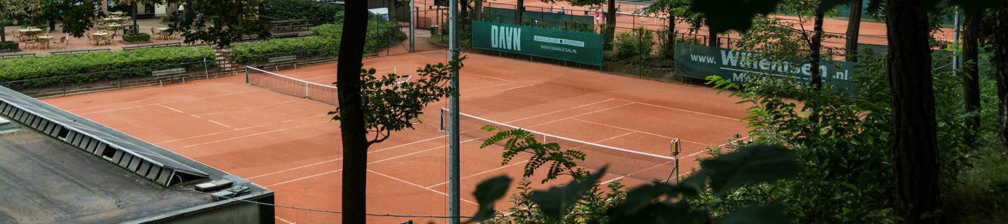 Tennisbaan groen bomen