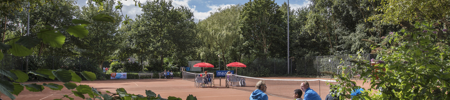 Tennisbaan groen bos zonnig